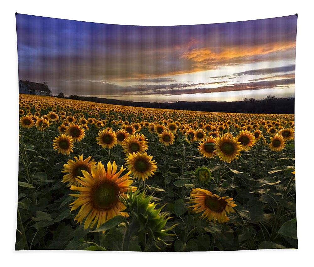 Austria Tapestry featuring the photograph Sunflower Sunset by Debra and Dave Vanderlaan