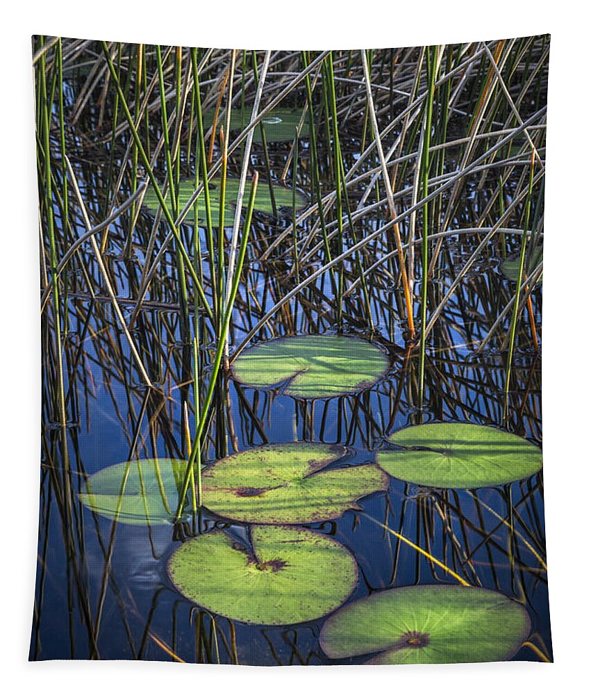 Clouds Tapestry featuring the photograph Sunlight on the LilyPads by Debra and Dave Vanderlaan