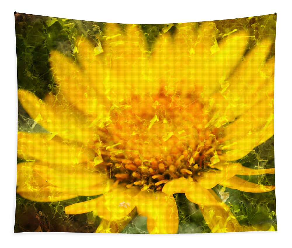 Daisy Tapestry featuring the photograph Sunlight's Daisy by Marie Jamieson