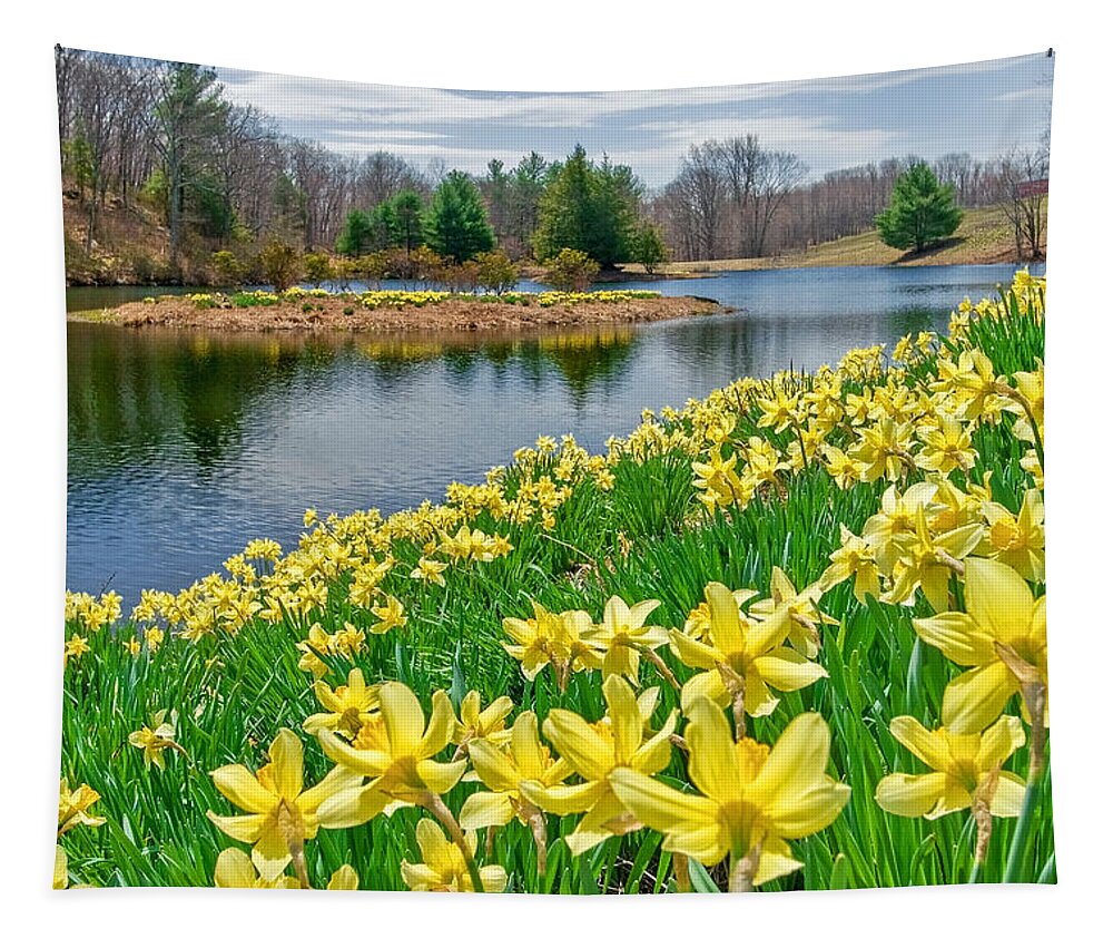 Daffodil Tapestry featuring the photograph Sunny Daffodil by Bill Wakeley
