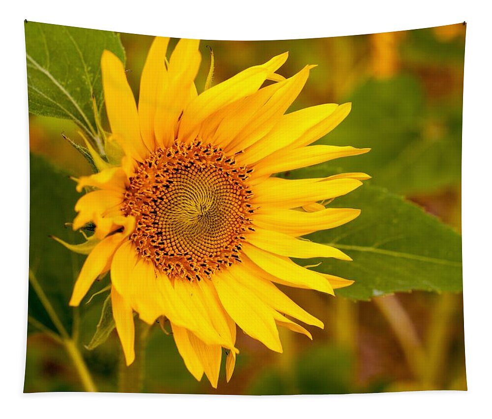 Miguel Tapestry featuring the photograph Sunny Sunflower Fields by Miguel Winterpacht