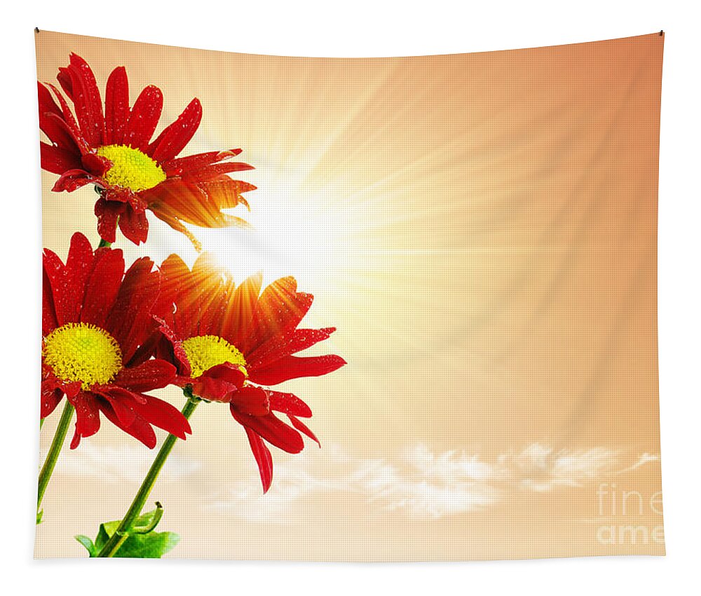Background Tapestry featuring the photograph Sunrays Flowers by Carlos Caetano