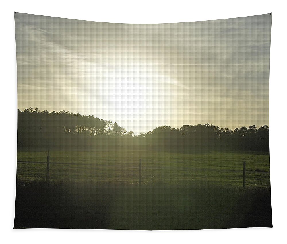 Withlacoochee Forest Tapestry featuring the photograph Sunrays on a Back Road by Laurie Perry