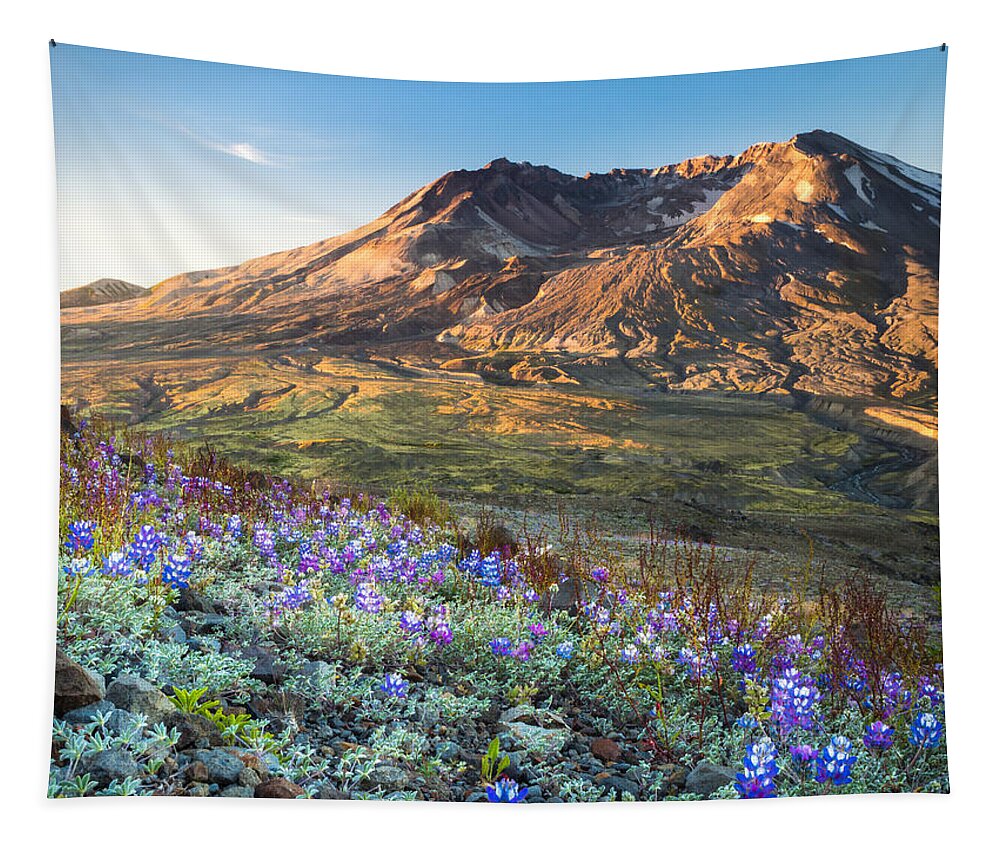 Sunrise Tapestry featuring the photograph Sunrise at Mount St. Helens by Kyle Wasielewski