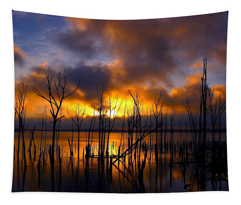 Sunrise Tapestry featuring the photograph Sunrise by Raymond Salani III