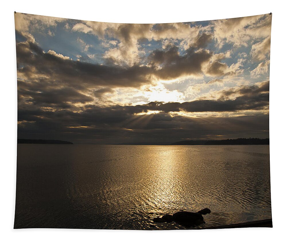 Sunrise Tapestry featuring the photograph Sunrise by Ron Roberts