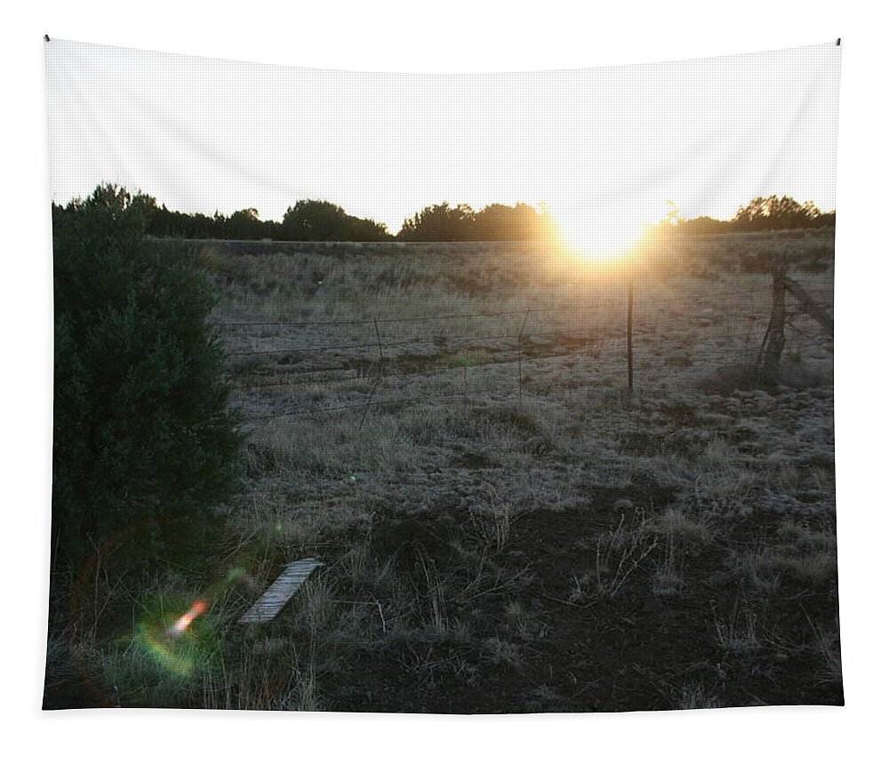 Fence Tapestry featuring the photograph Sunrize by David S Reynolds