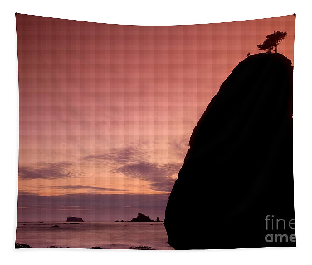 Seascape Tapestry featuring the photograph Sunset at Rialto Beach by Keith Kapple