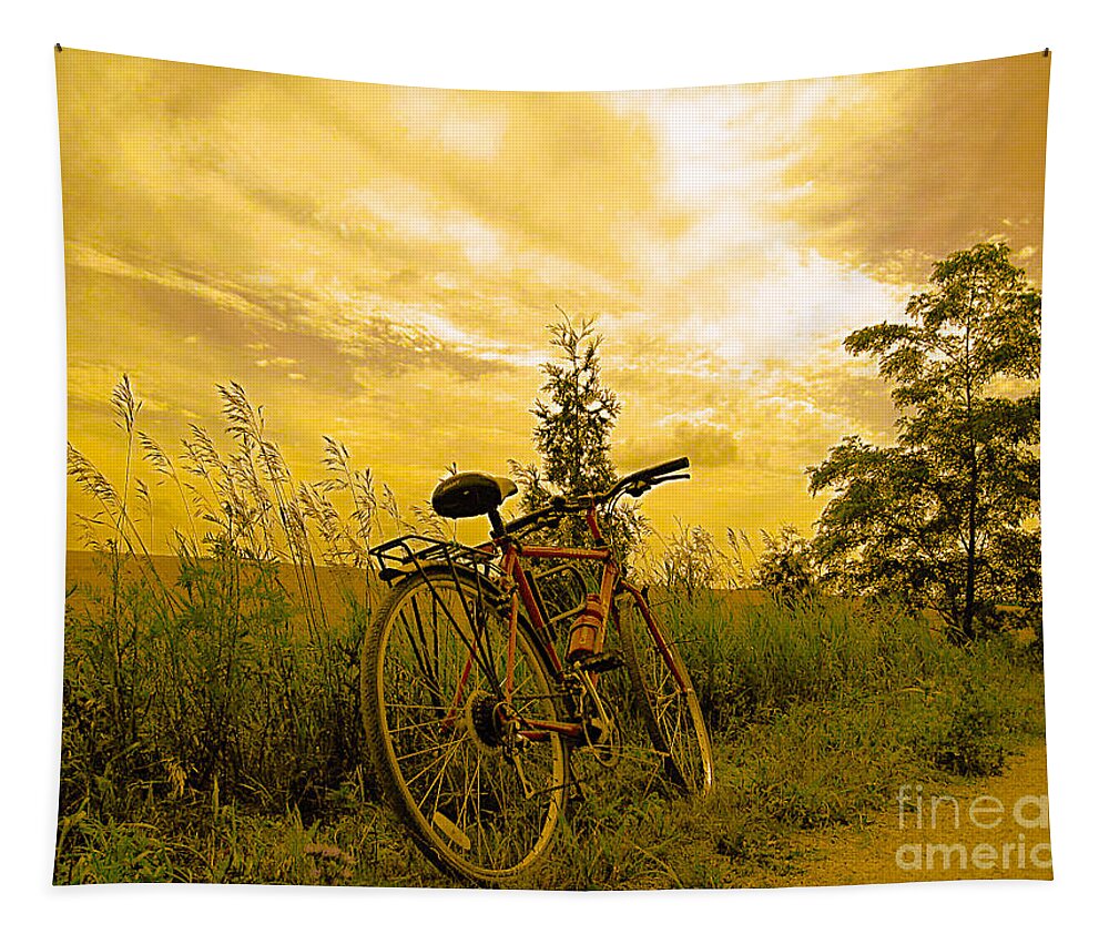 Sunset Tapestry featuring the photograph Sunset Biking by Nina Silver