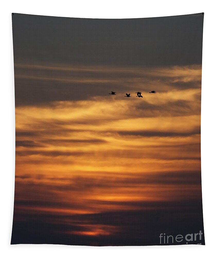 Texas Tapestry featuring the photograph Sunset Flyby Fulton Texas by Lizi Beard-Ward