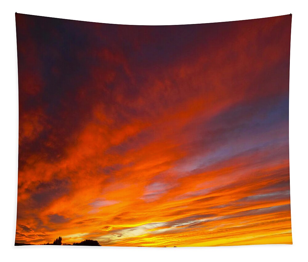 Fiery Tapestry featuring the photograph Sunset by Gaile Griffin Peers