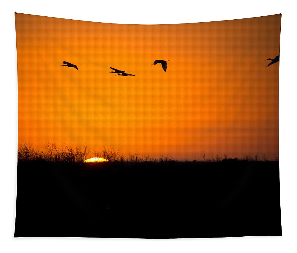 Ibis Tapestry featuring the photograph Sunset of the Ibis by Mark Andrew Thomas
