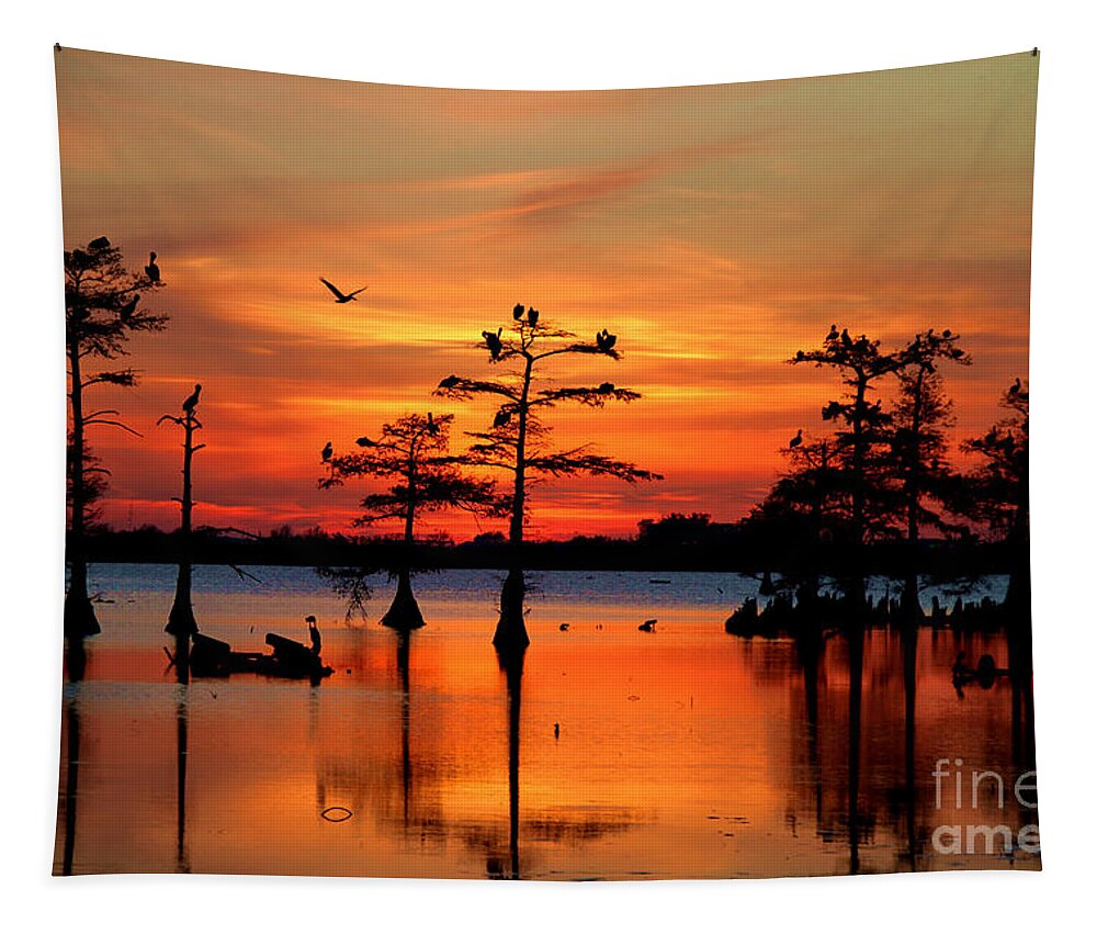 Everglades Tapestry featuring the photograph Sunset on the Bayou by Carey Chen