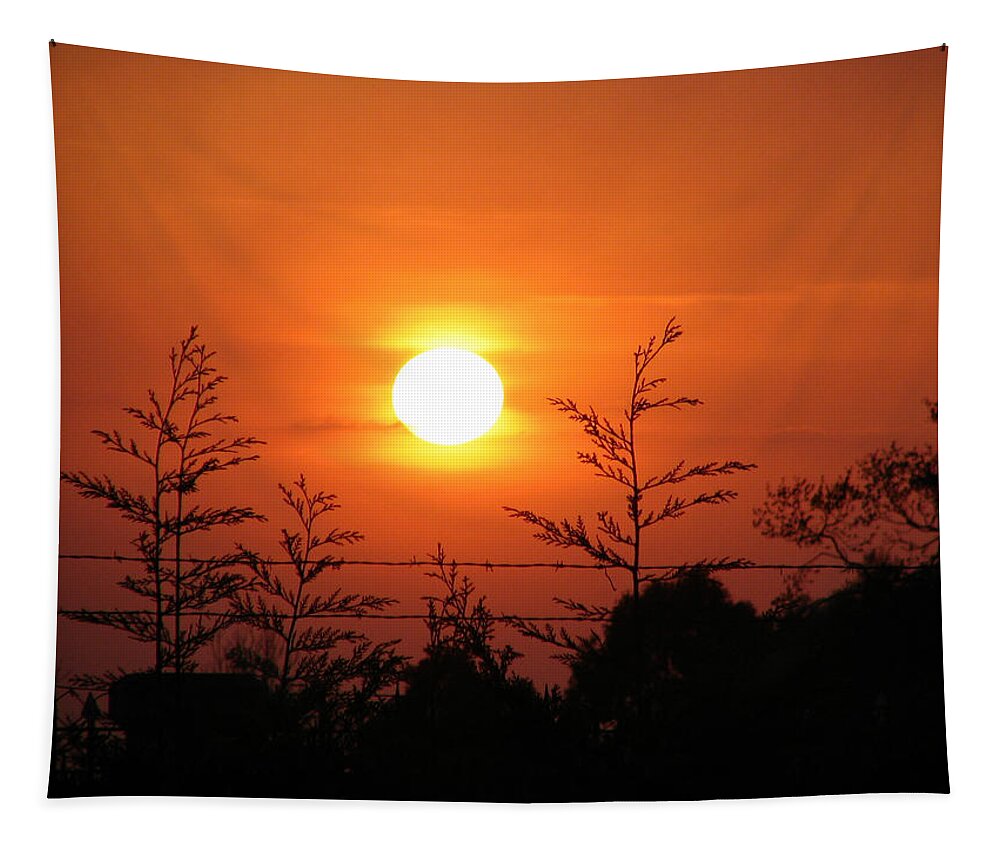 Sunset Tapestry featuring the photograph Sunset by Paulo Goncalves