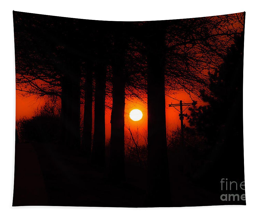 Sun Tapestry featuring the photograph Sunset Silhouette Painterly by Andee Design