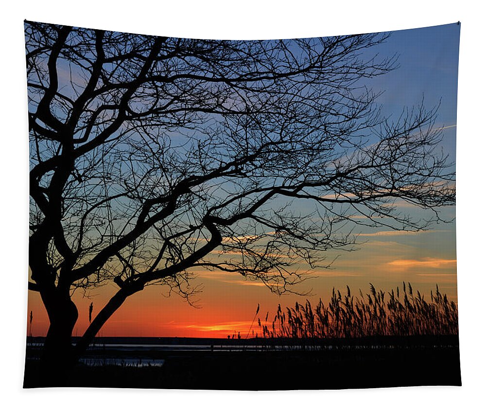 Assawoman Bay Tapestry featuring the photograph Sunset Tree in Ocean City MD by Bill Swartwout