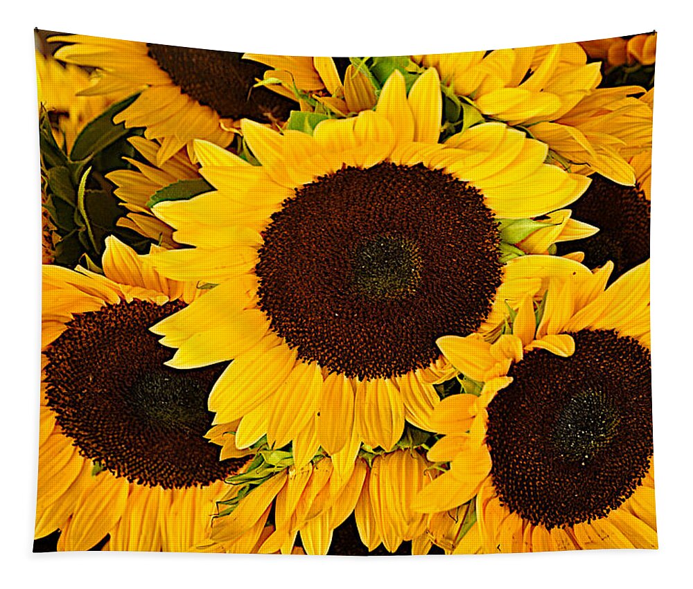 Photograph Tapestry featuring the photograph Sunshine Petals by Richard Gehlbach