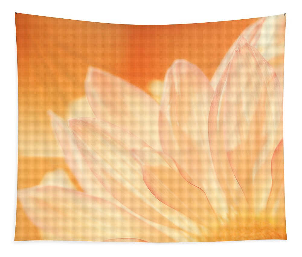 Flower Tapestry featuring the photograph Sunshine by Scott Norris