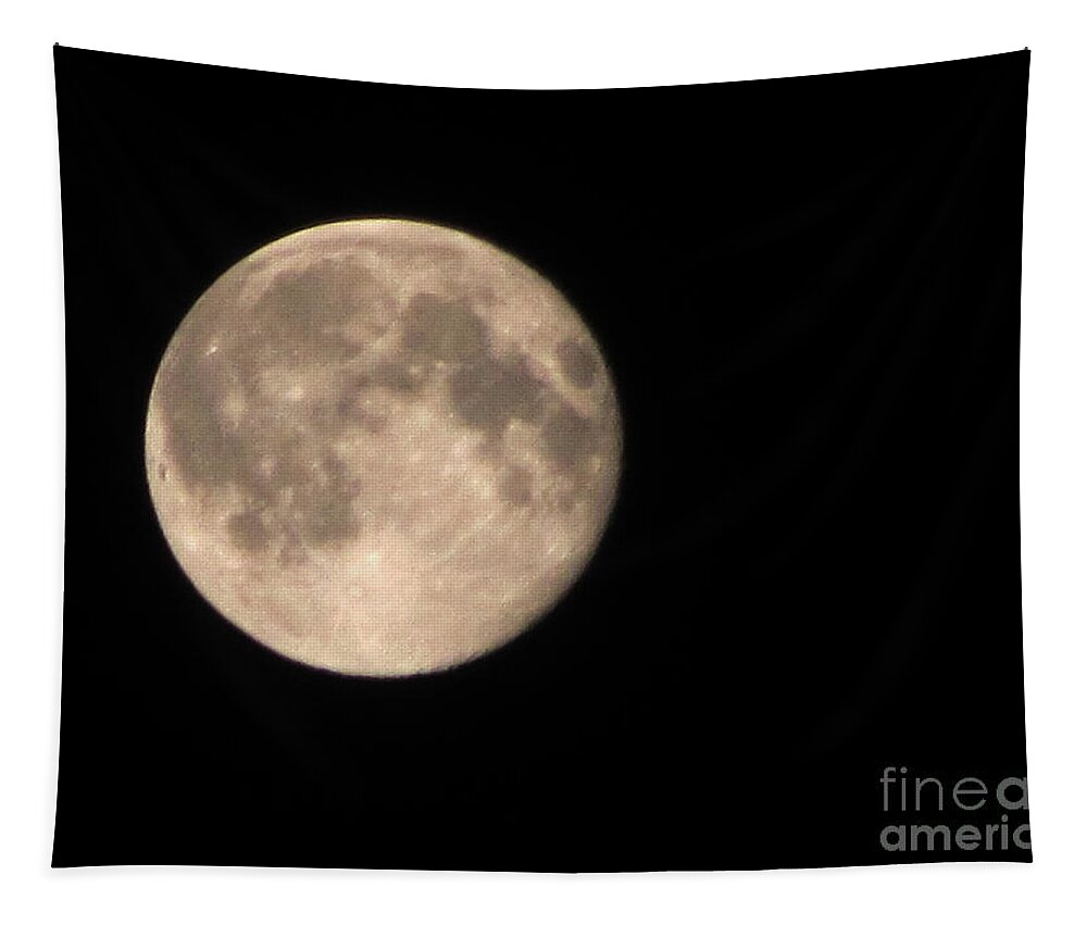 Moon Photographs Tapestry featuring the photograph Super Moon by David Millenheft