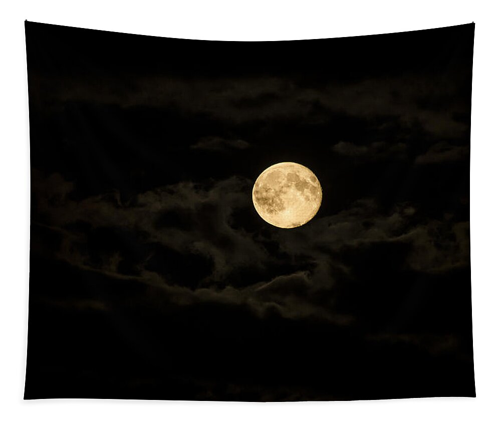 Moon Tapestry featuring the photograph Super Moon by Spikey Mouse Photography