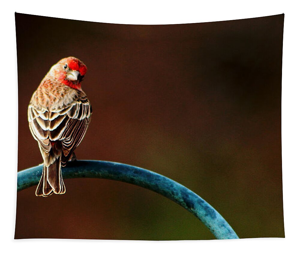 Surreal Tapestry featuring the photograph Surreal Purple Finch by David Yocum