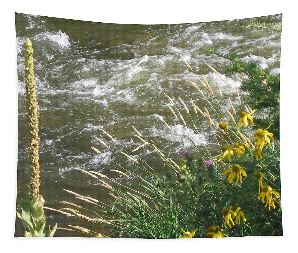 Colorado Tapestry featuring the photograph Surreal by Suzanne Theis