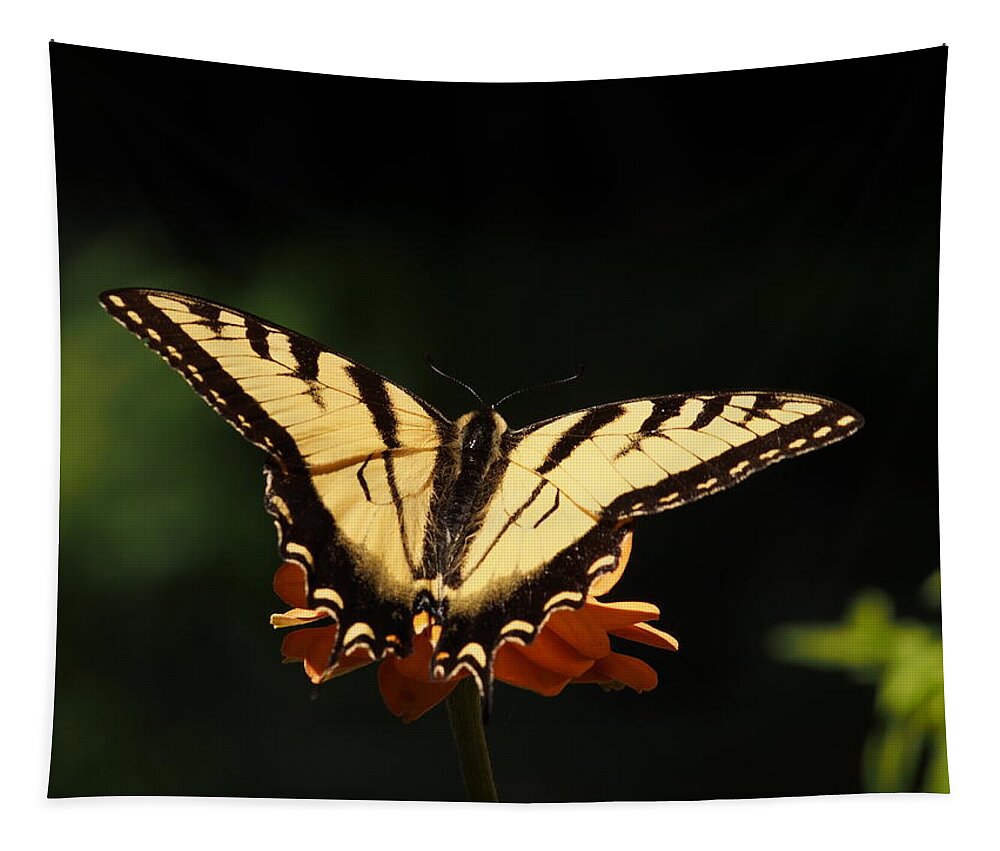 Flowers Tapestry featuring the photograph Swallowtail Butterfly by Dorothy Lee