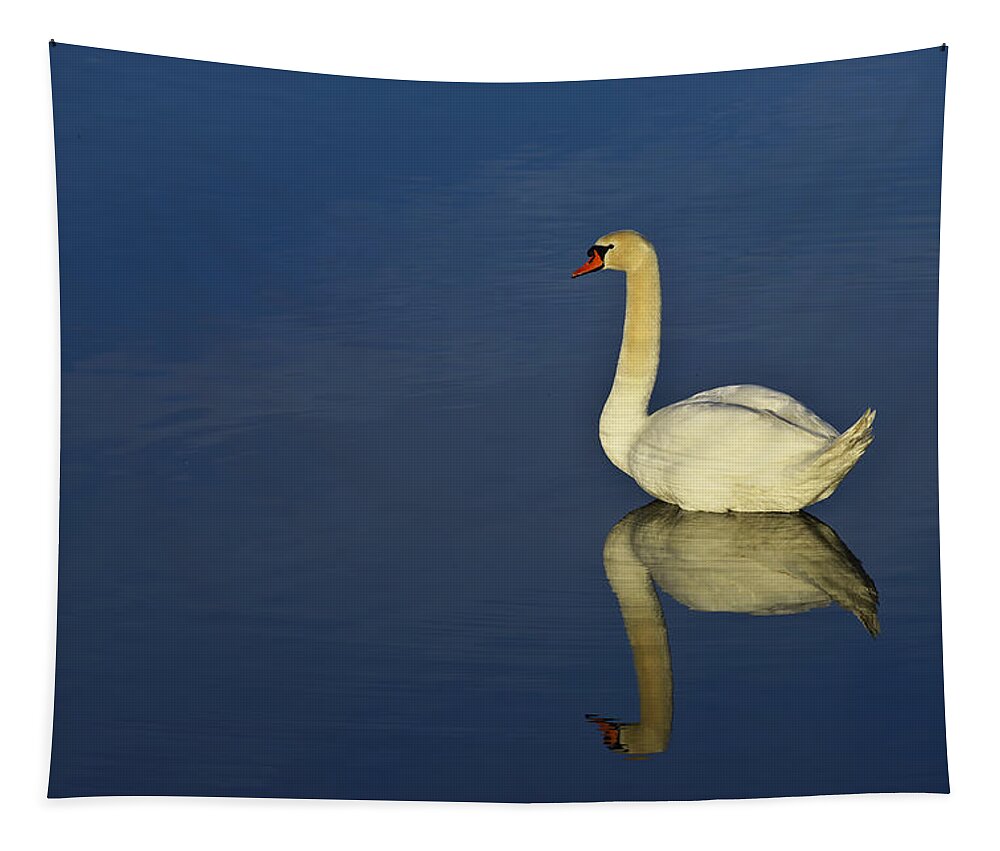 White Tapestry featuring the photograph Swan by Ivan Slosar