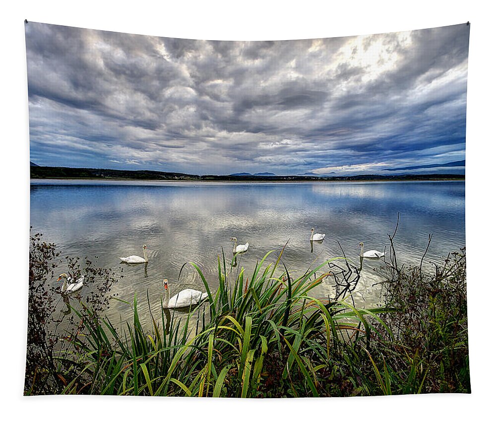 Water Tapestry featuring the photograph Swan lake by Ivan Slosar