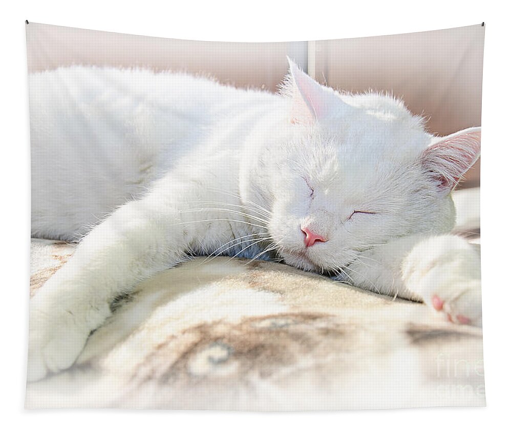 Andee Design Cats Tapestry featuring the photograph Sweet Dreams by Andee Design