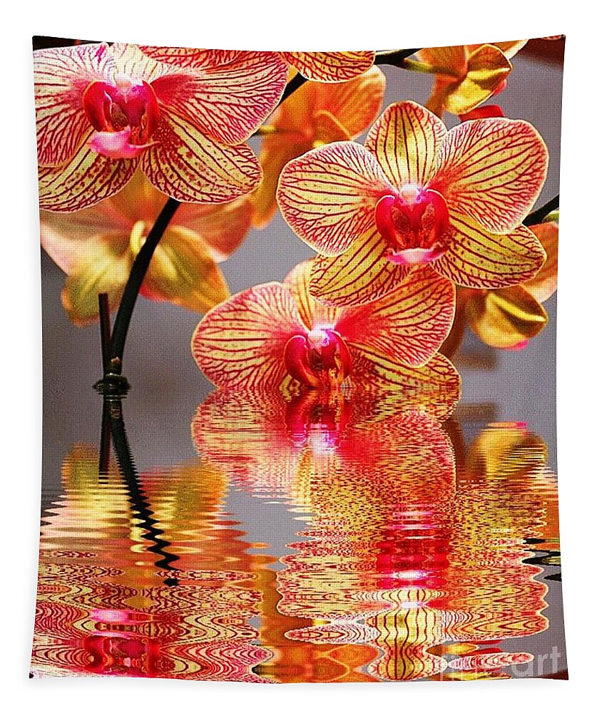 Orchid Tapestry featuring the photograph Sweet Orchid Reflection by Judy Palkimas