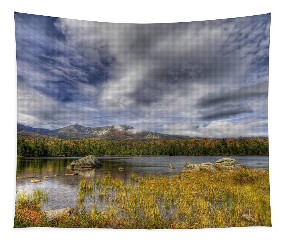 Fall Tapestry featuring the digital art Sweet Serenity by Sharon Batdorf
