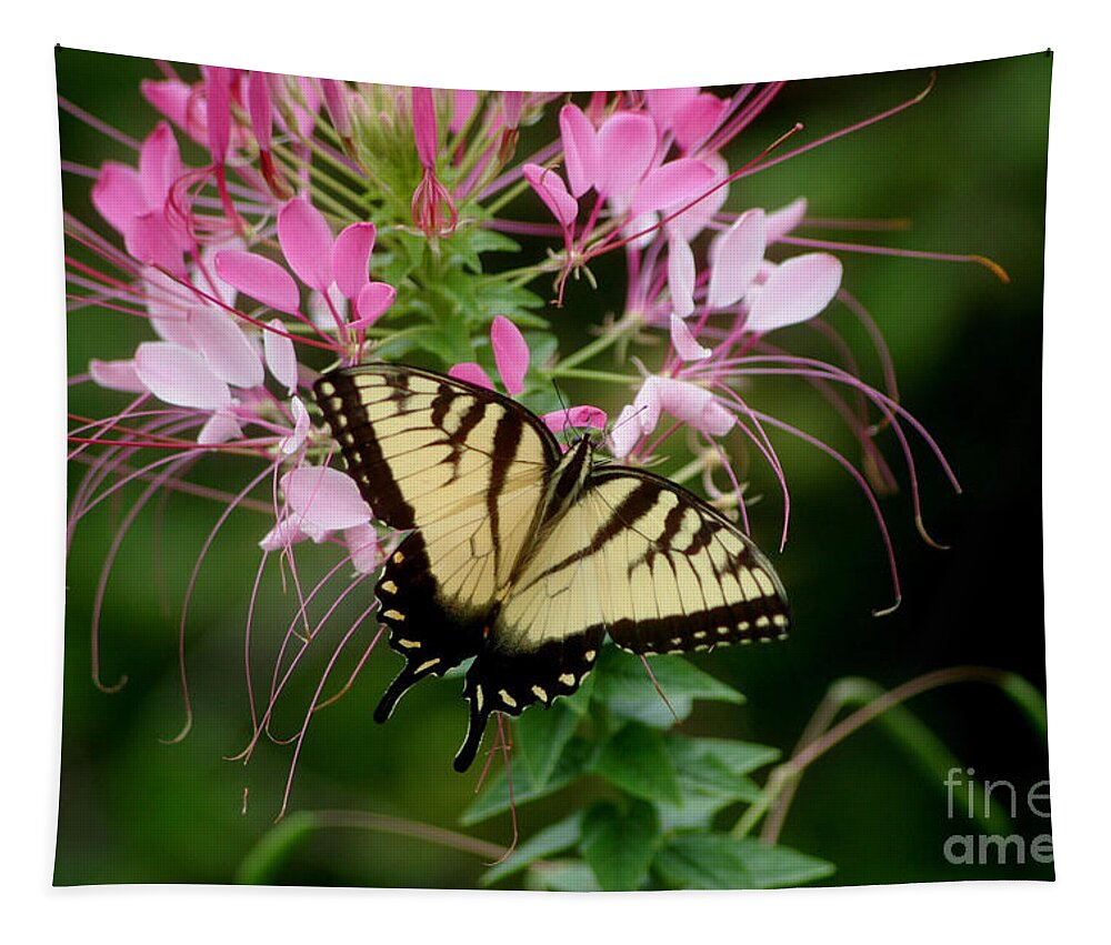Butterfly Tapestry featuring the photograph Sweet Swallowtail by Living Color Photography Lorraine Lynch