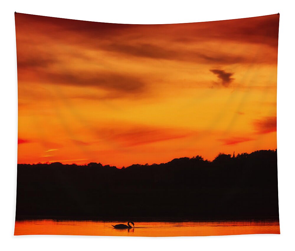 Swan Tapestry featuring the photograph Swimming in Sunset Skies by Sylvia J Zarco