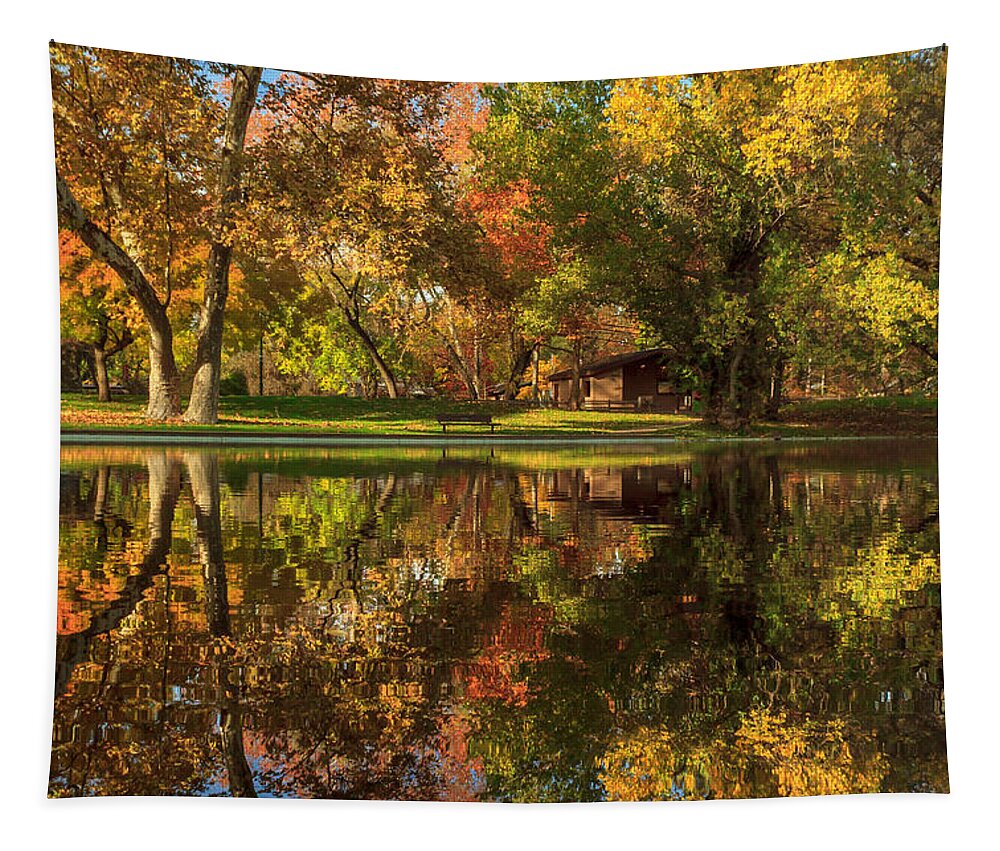 Sycamore Tapestry featuring the photograph Sycamore Reflections by James Eddy