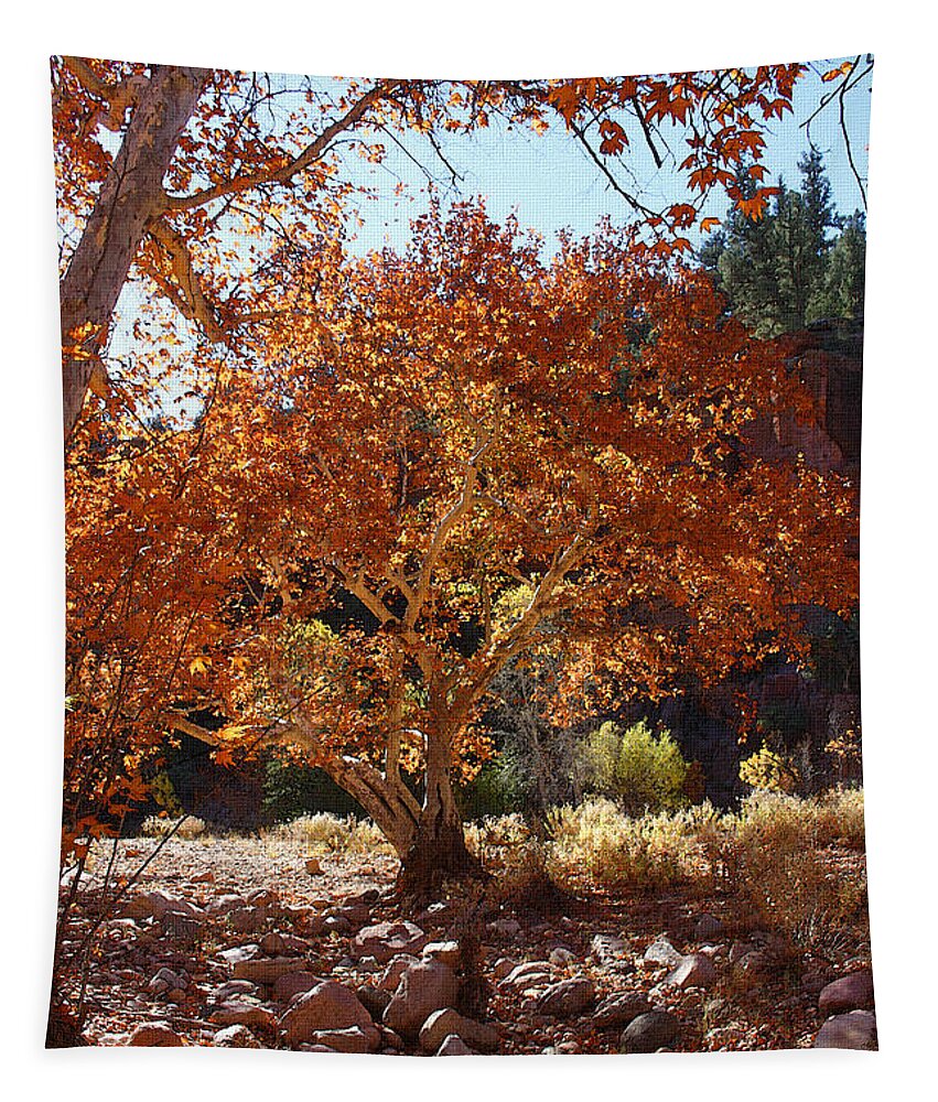Sycamore Trees Tapestry featuring the photograph Sycamore Trees Fall Colors by Tom Janca