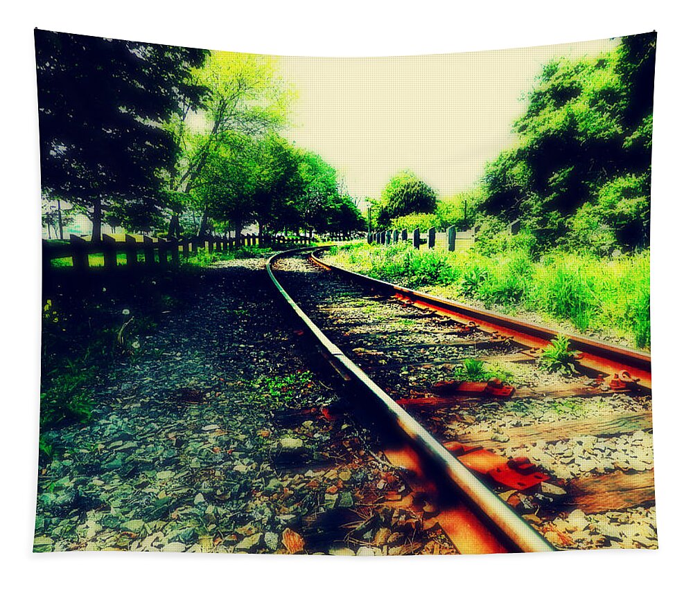 Railway Tapestry featuring the photograph Take Me Home by Zinvolle Art