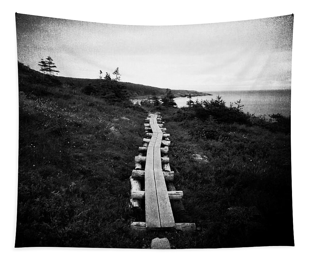 Sea Tapestry featuring the photograph Take Me to the Sea - East Coast Trail by Zinvolle Art