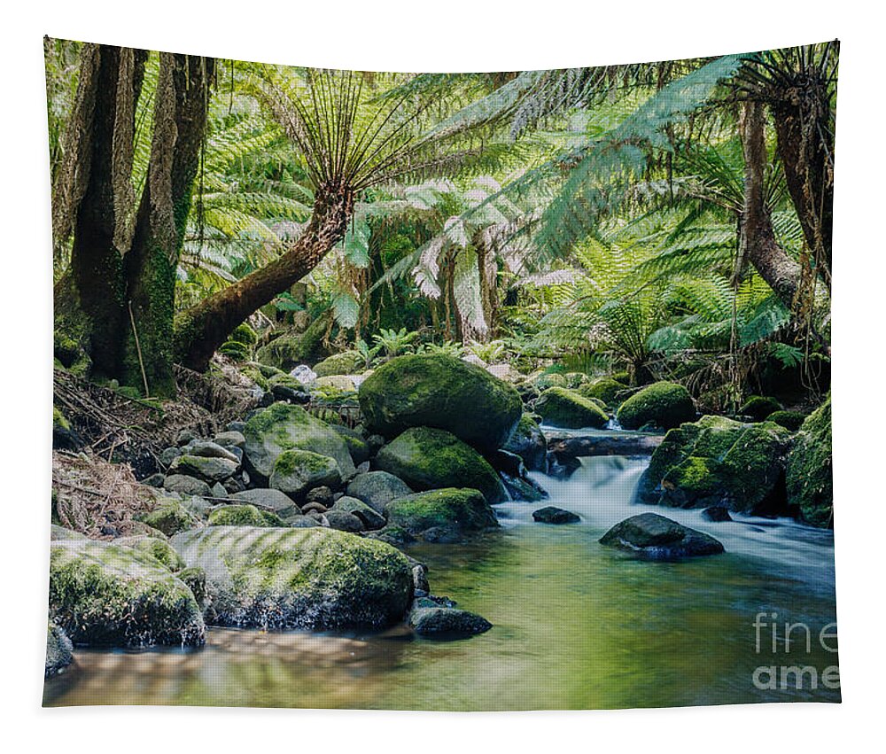 Rainforest Tapestry featuring the photograph Tasmanian rainforest by Matteo Colombo