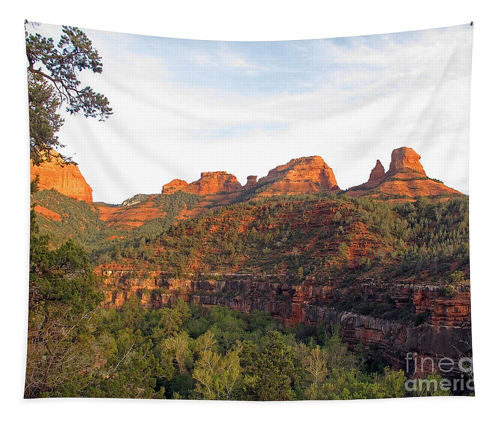 Red Rock Tapestry featuring the photograph Taste of Sedona by Kelly Holm