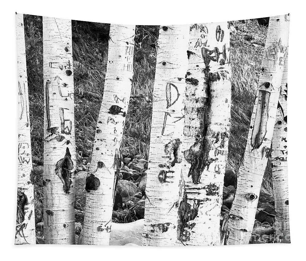 Birch Tree Tapestry featuring the photograph Tattoo Trees by Rebecca Margraf
