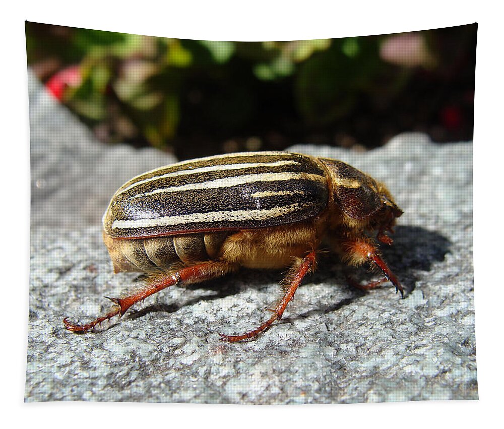 Ten Lined Tapestry featuring the photograph Ten-lined June Beetle profile by Cheryl Hoyle