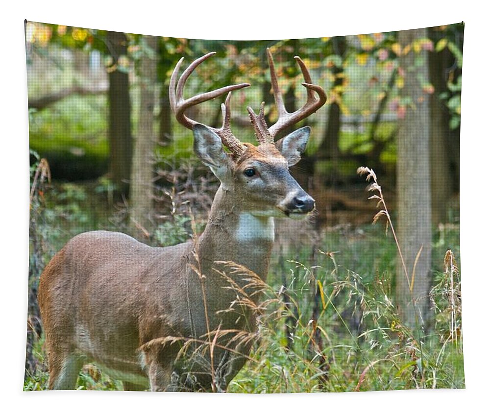 Buck Tapestry featuring the photograph Ten Point in Troy 0036 4451 by Michael Peychich