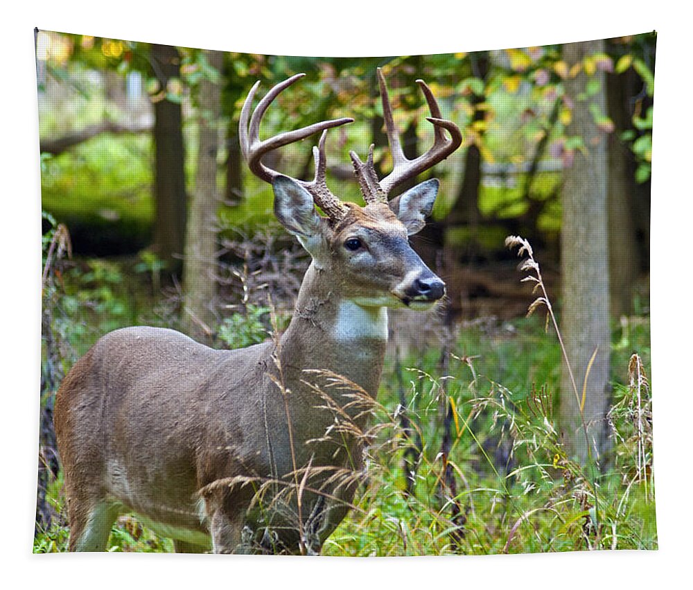 Buck Tapestry featuring the photograph Ten Point Standing Proud by Michael Peychich
