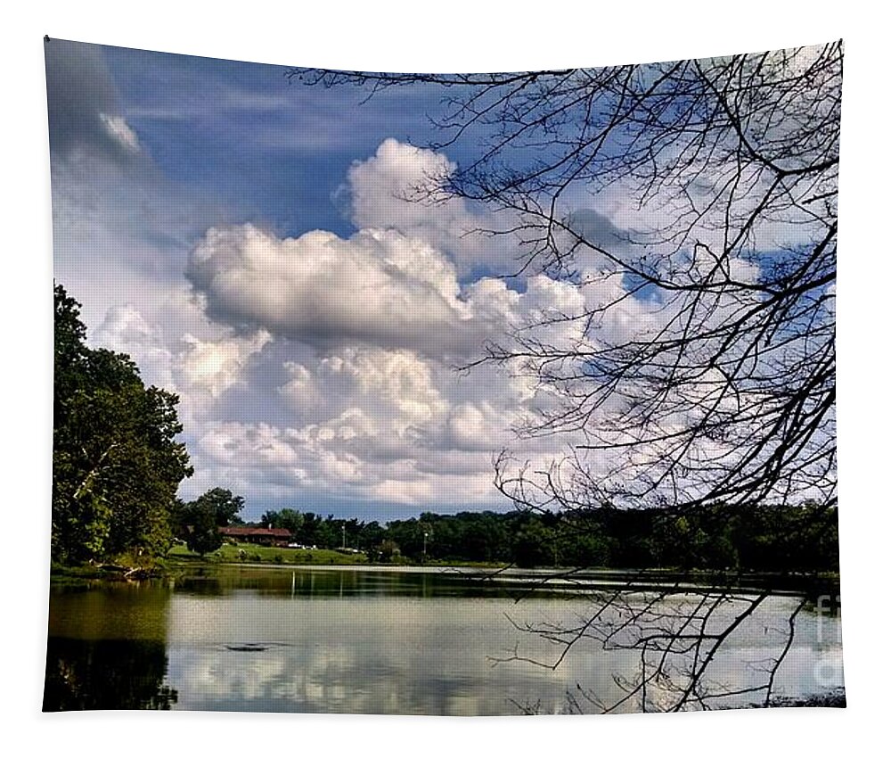Landscape Tapestry featuring the photograph Tennessee Dreams by Chris Tarpening