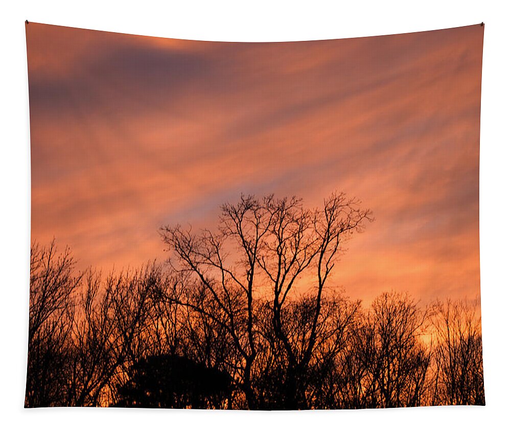 Landscape Tapestry featuring the photograph Tequila Sunset by Bill Swartwout