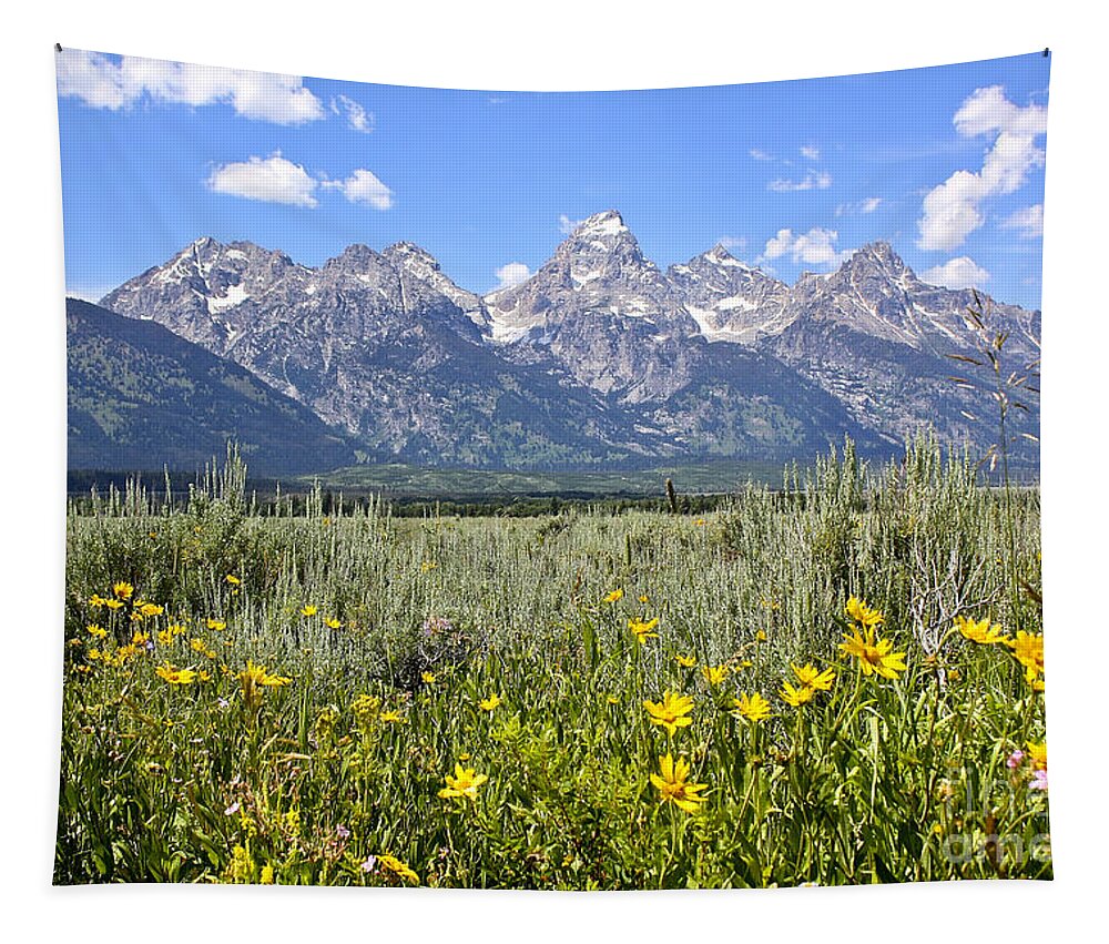Grand Tetons Tapestry featuring the photograph Tetons and Wildflowers by Teresa Zieba