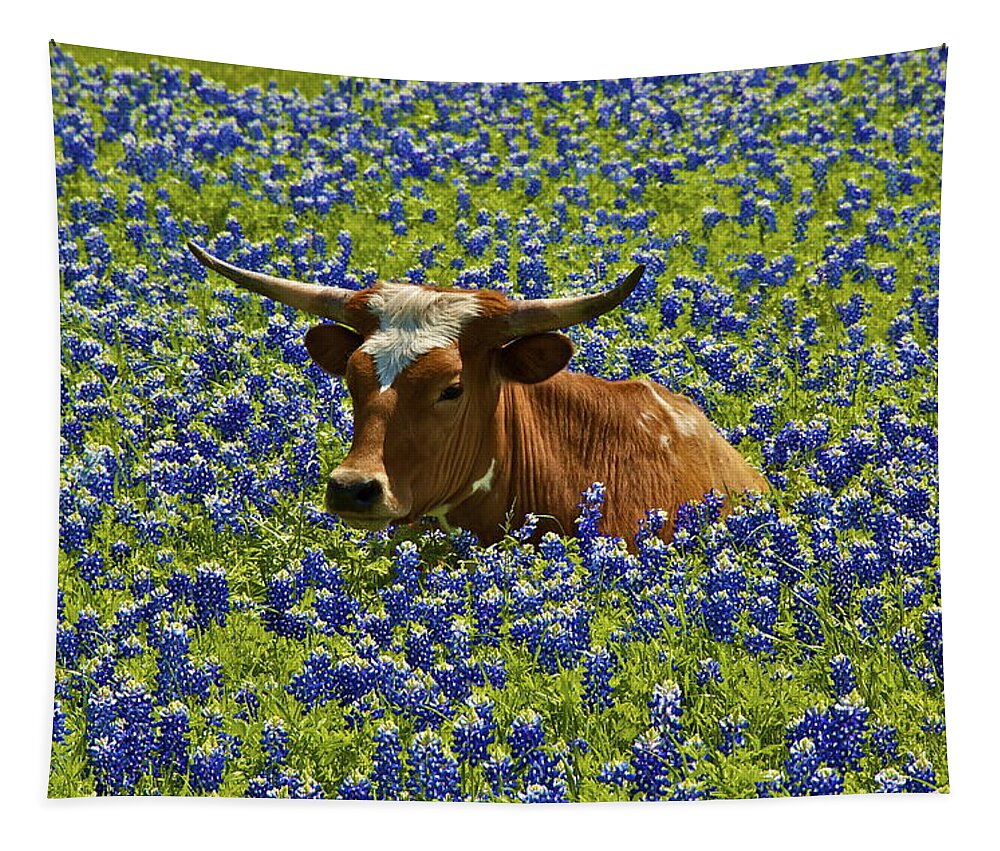 Texas Tapestry featuring the photograph Texas Longhorn by John Babis