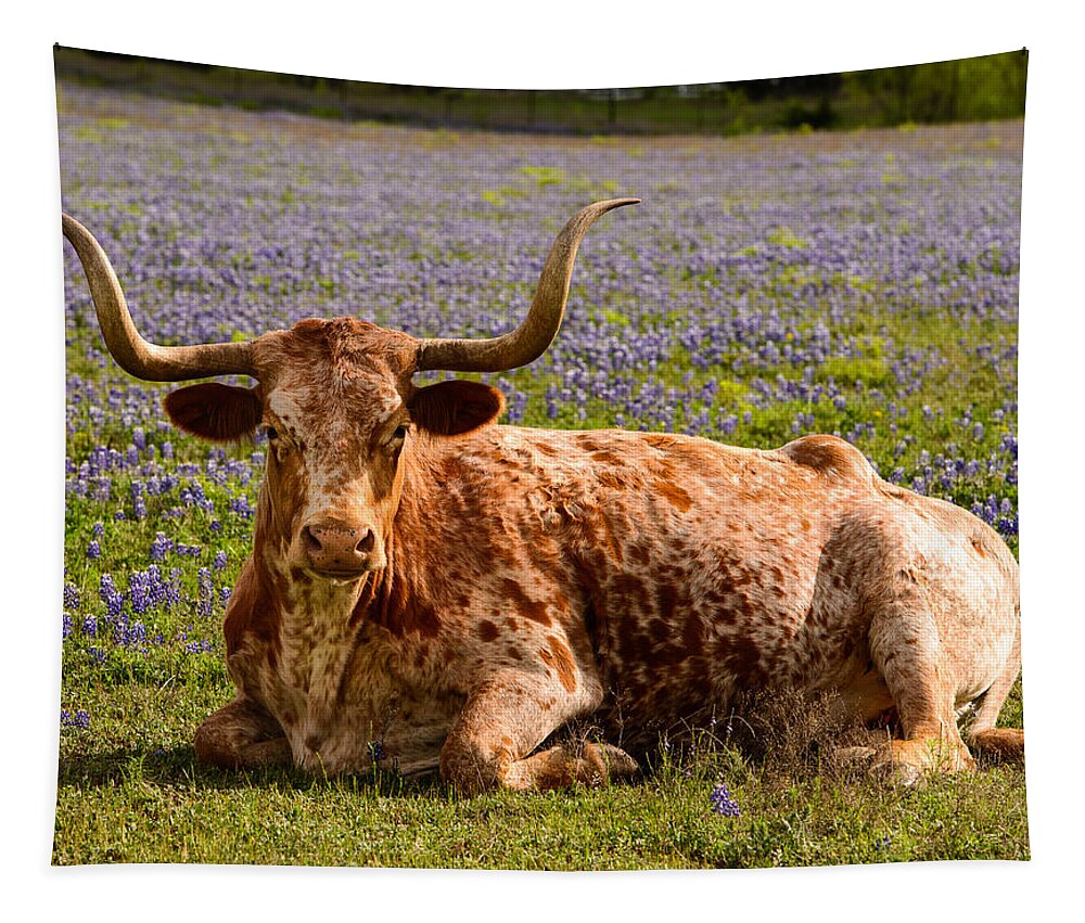 Texas Tapestry featuring the photograph Texas Longhorn by John Johnson