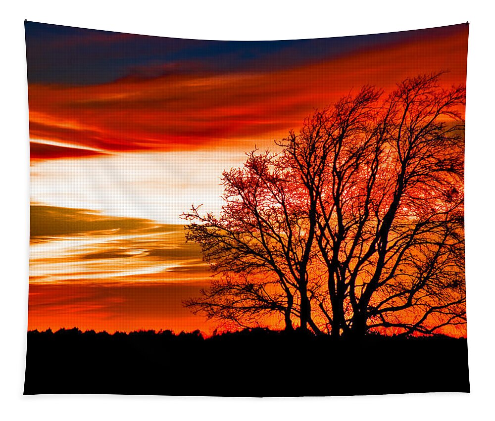 Art Tapestry featuring the photograph Texas Sunset by Darryl Dalton